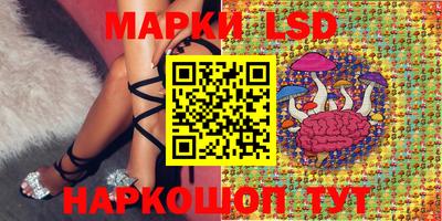 тгк Тула